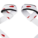 Cloud Dragon – Lifting Straps